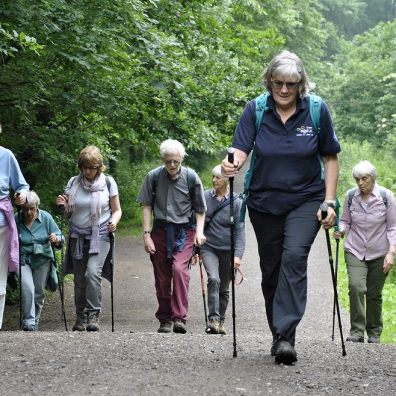 Six over 50s are following a Nordic walking leader up a hill