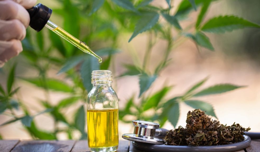 Using CBD Oil