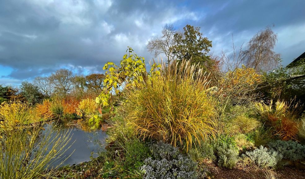 Windwhistle Barton is an artist’s semi wild garden.